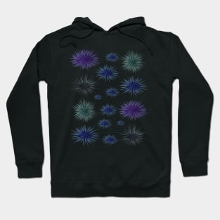 Sea urchin Funny & humor Sea urchins Cute & Cool Art Design Lovers Hoodie